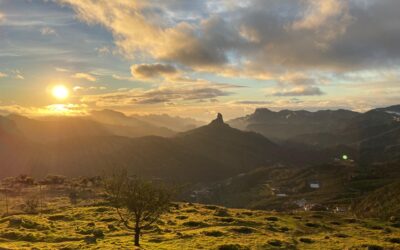 Odaperz, una nueva firma para la fotografía hecha desde San Mateo