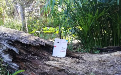 Encuentros con la creatividad: Adriana Marrero Vega